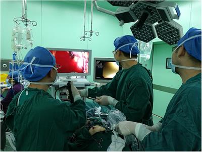 Retroperitoneoscopic pyeloplasty with simultaneous pyelolithotomy using a flexible cystoscope: Our initial experience at a single centre